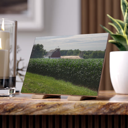U R There Photography Above the Corn on Piersonville Road II Rustic Farmhouse Decorative Ceramic Tile