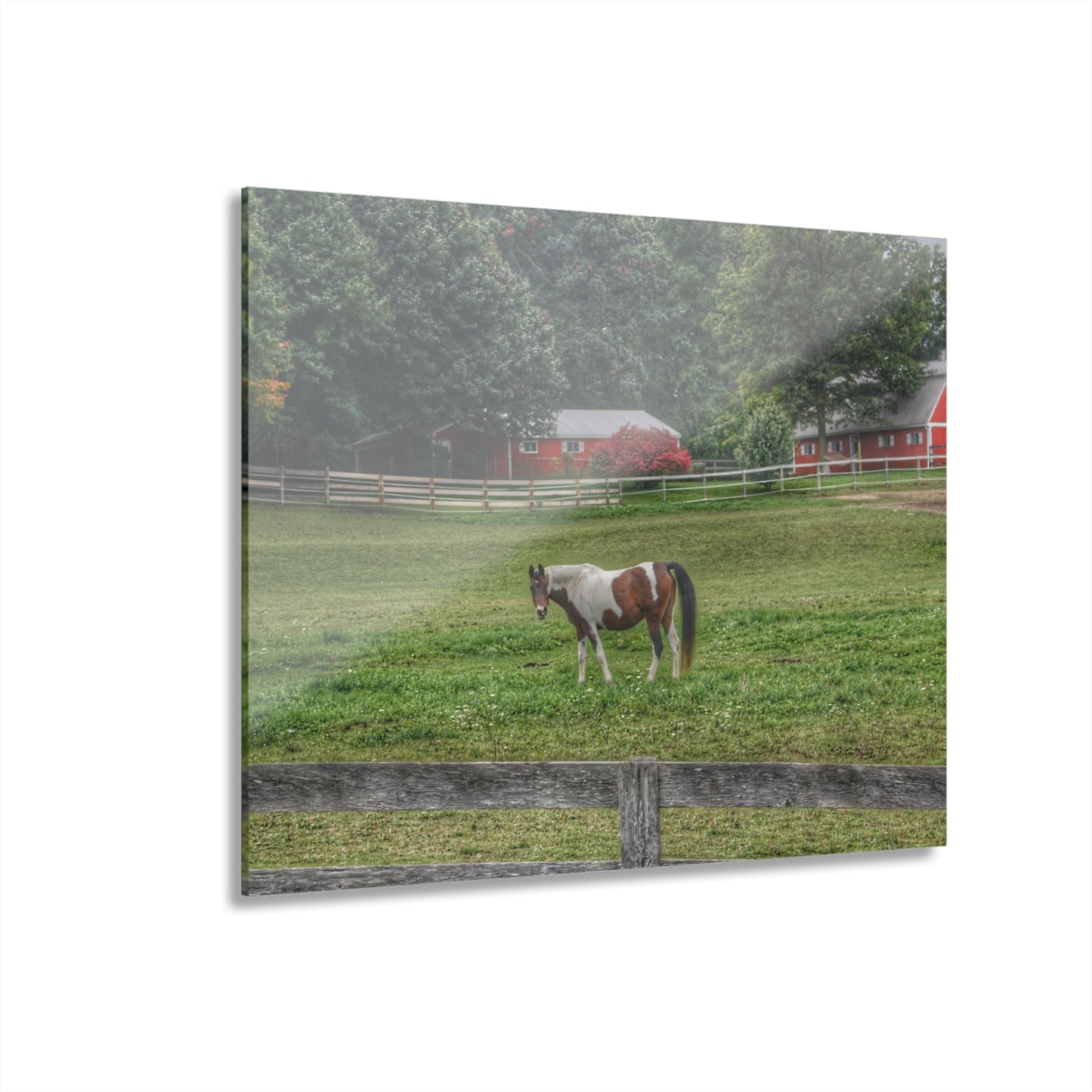 U R There Photography Painted Pony in Pasture Rustic Farmhouse Acrylic Wall Print