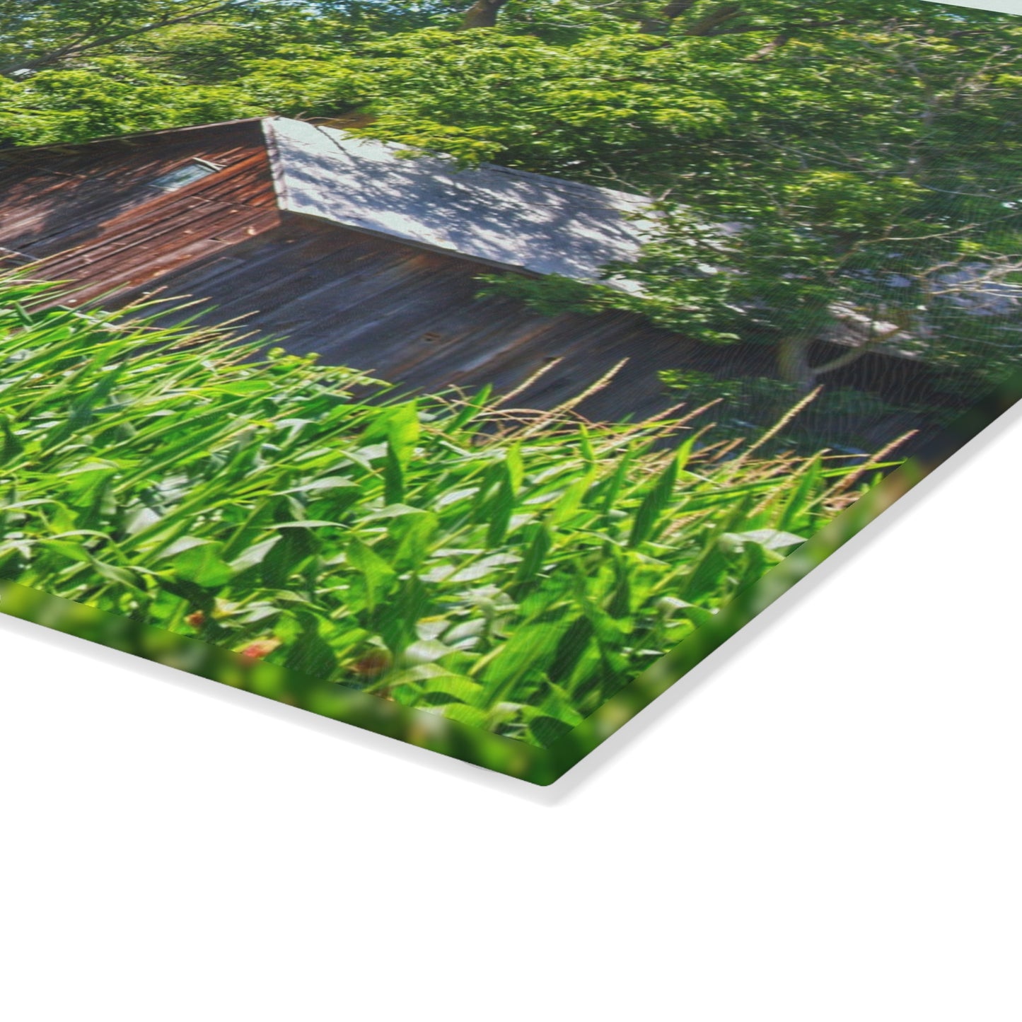 U R There Photography Roadside Ruin Rustic Farmhouse Tempered-Glass Cutting Board