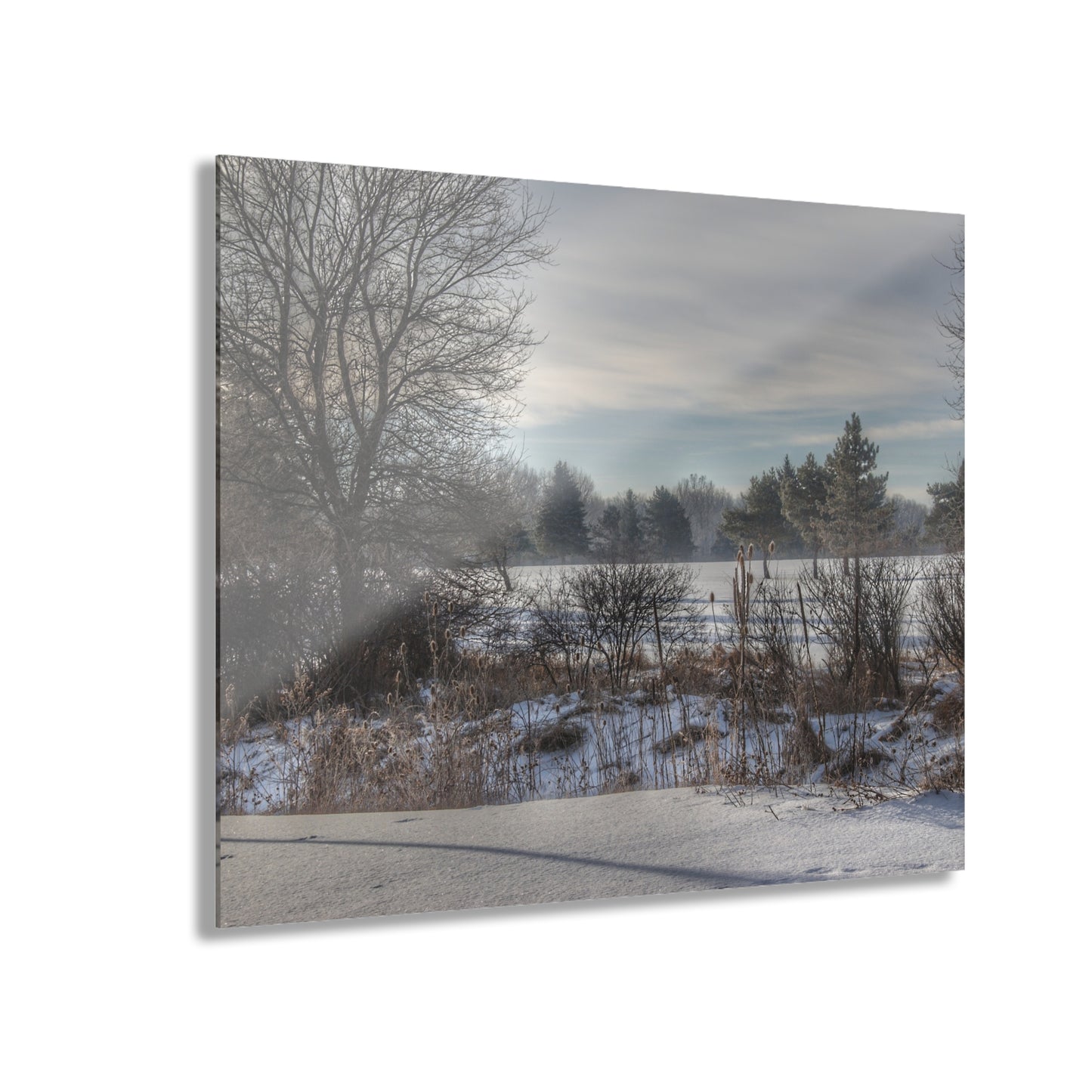 U R There Photography Winter in Mayfield Rustic Farmhouse Acrylic Wall Print