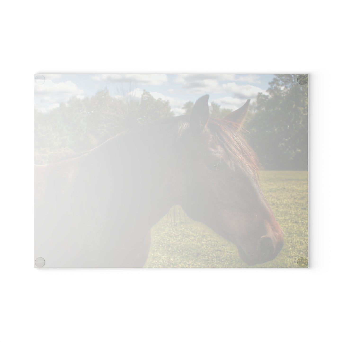 U R There Photography Brown Beauty I Rustic Farmhouse Tempered-Glass Cutting Board