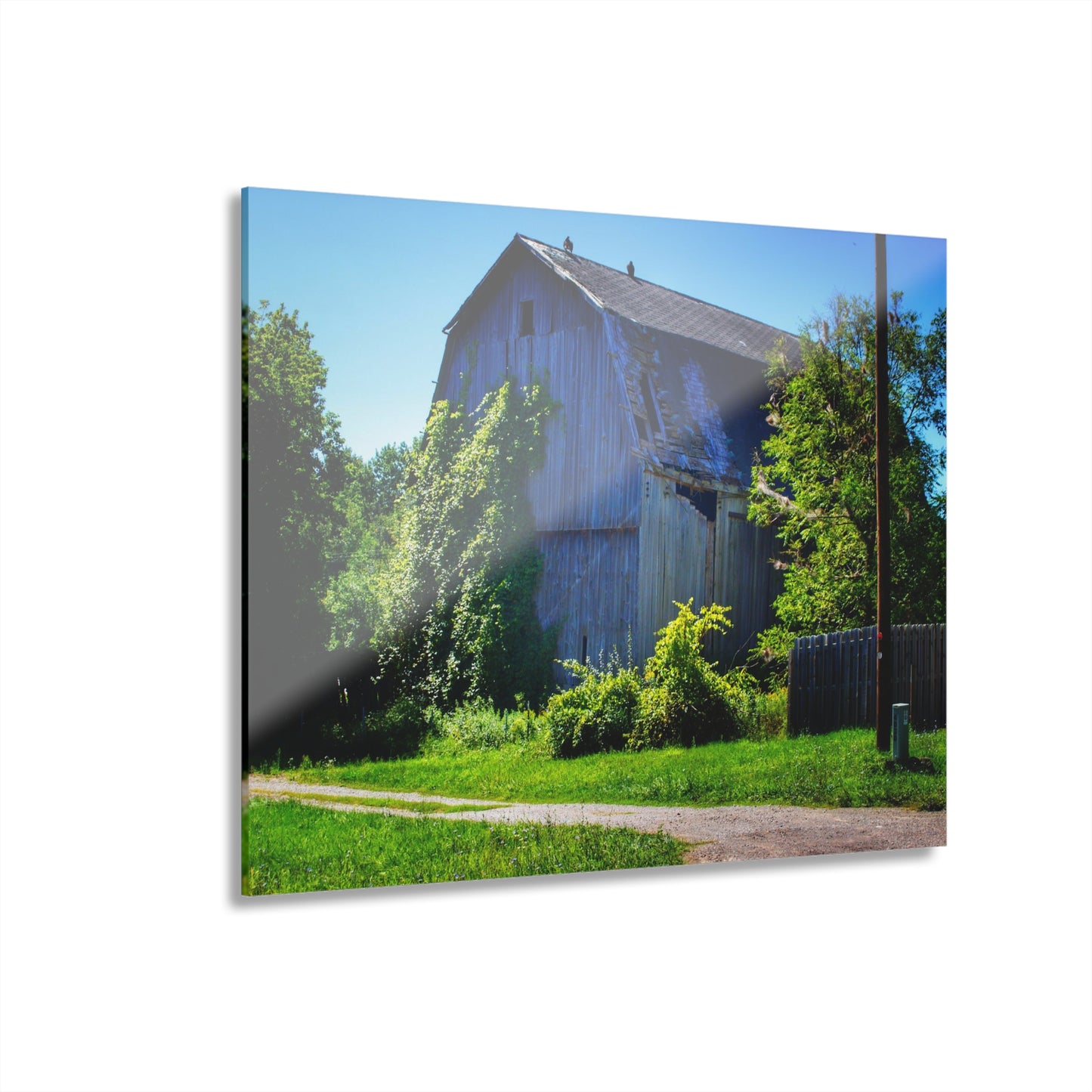 U R There Photography Dryden Road Grey Rustic Farmhouse Acrylic Wall Print