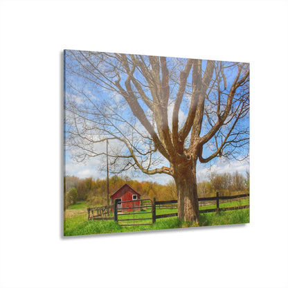 U R There Photography Delano Oak and Little Red Rustic Farmhouse Acrylic Wall Print