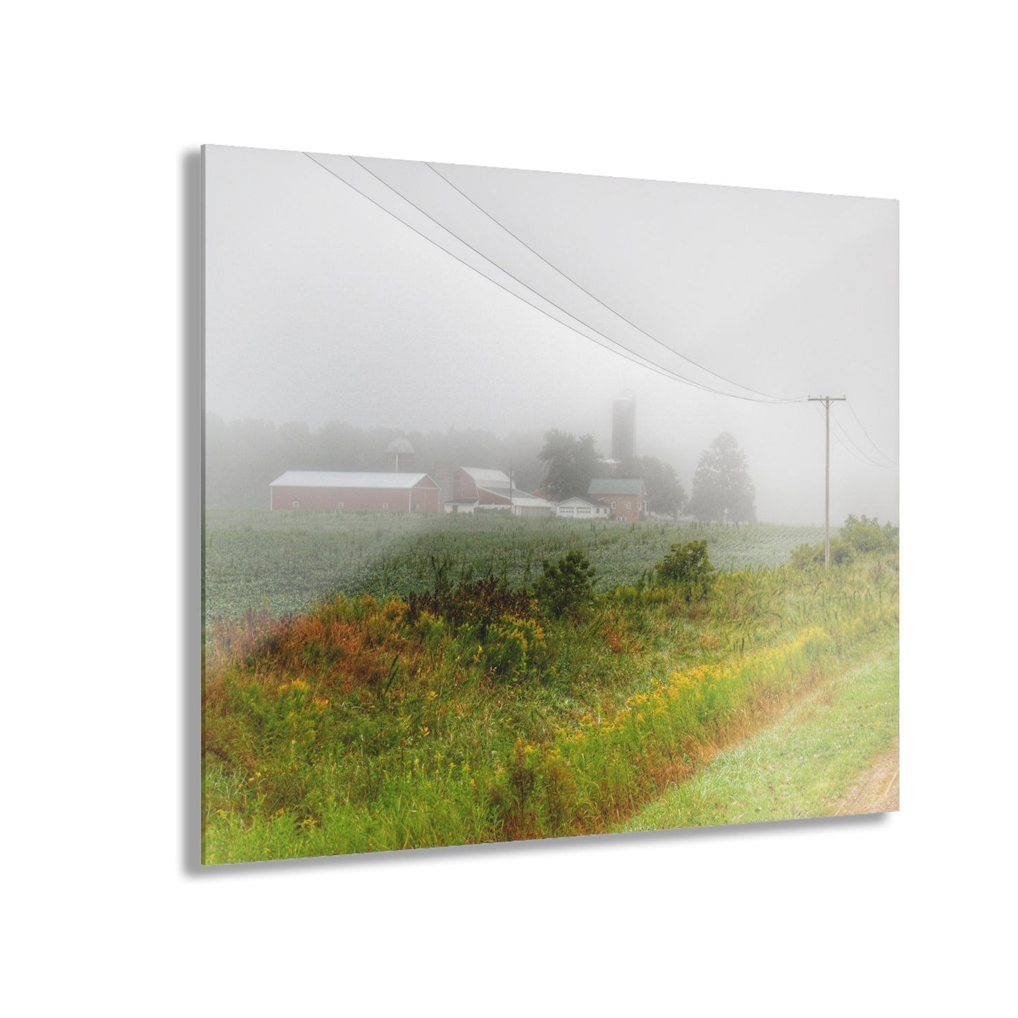 U R There Photography Beyond the Fog Rustic Farmhouse Acrylic Wall Print