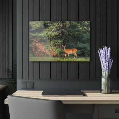U R There Photography Mitchell Road Doe Rustic Farmhouse Acrylic Wall Print