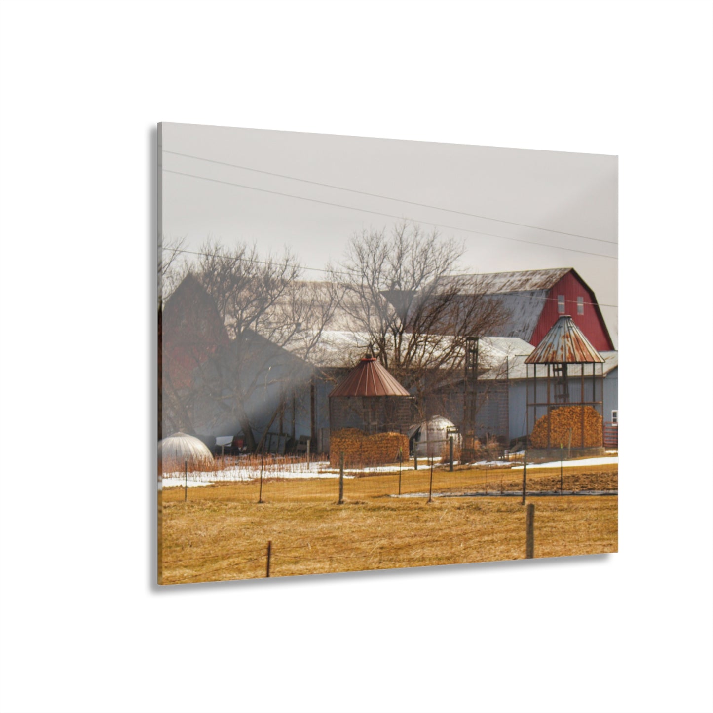 U R There Photography Hidden Red Rustic Farmhouse Acrylic Wall Print