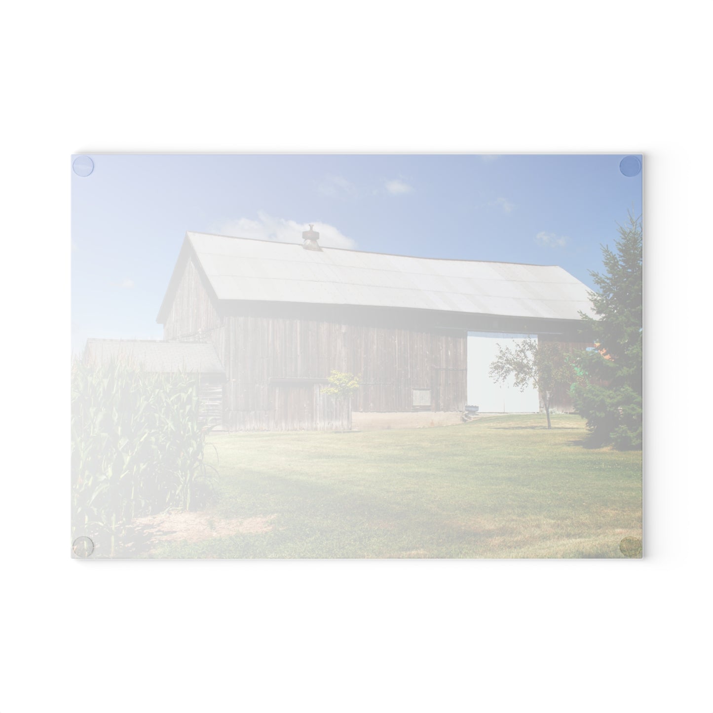 U R There Photography Frog Barn Rustic Farmhouse Tempered-Glass Cutting Board