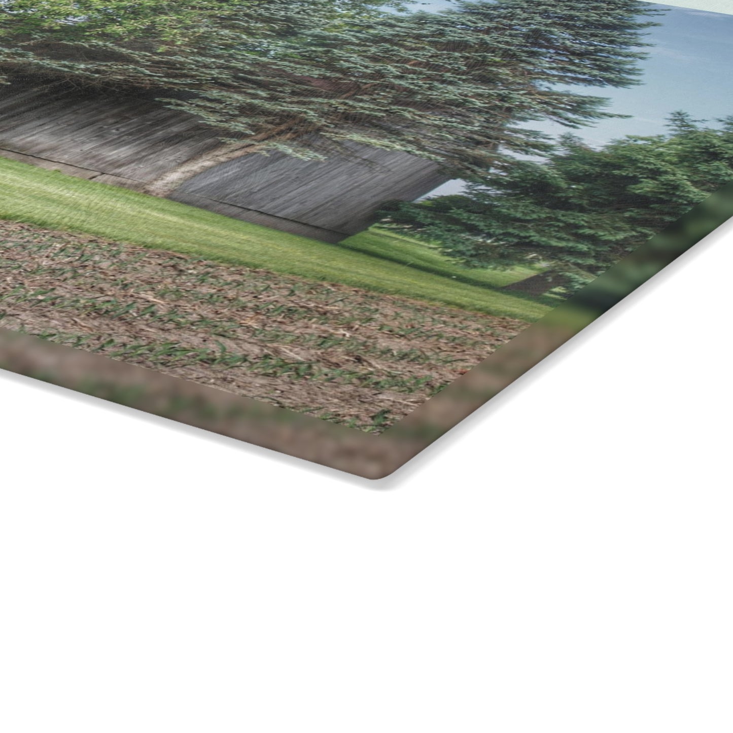 U R There Photography Barkley Road Greys II Rustic Farmhouse Tempered-Glass Cutting Board