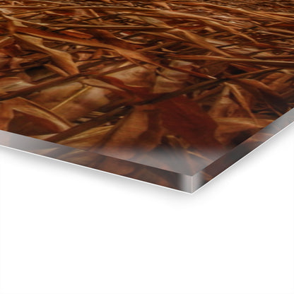 U R There Photography Garner Road Hidden White Rustic Farmhouse Acrylic Wall Print