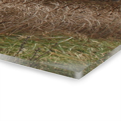 U R There Photography Grey Saltbox Rustic Farmhouse Acrylic Wall Print