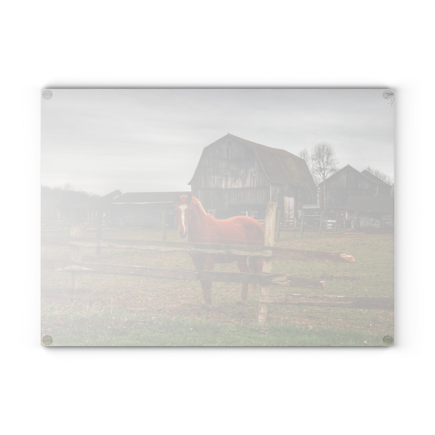 U R There Photography South Summers Road Old Grey and Caramel IV Rustic Farmhouse Tempered-Glass Cutting Board
