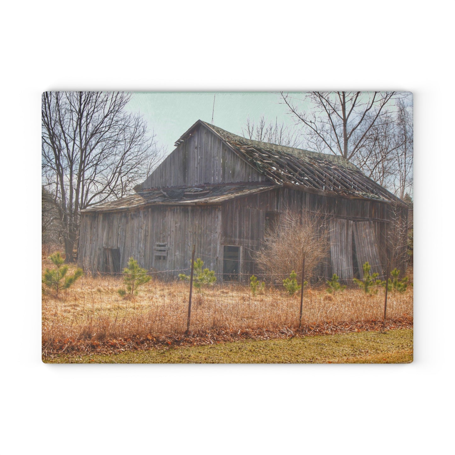 U R There Photography Leix Road Forgotten Grey I Rustic Farmhouse Tempered-Glass Cutting Board