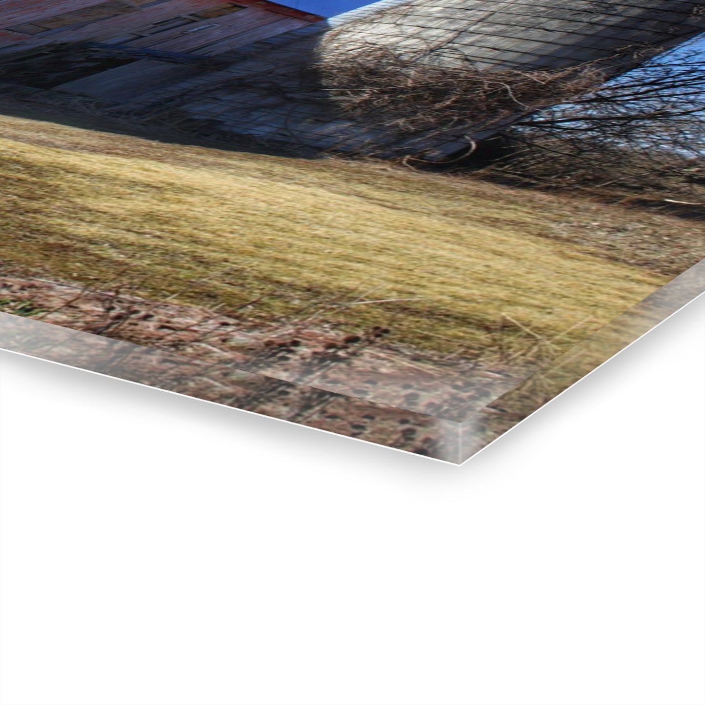 U R There Photography North Irish Red I Rustic Farmhouse Acrylic Wall Print