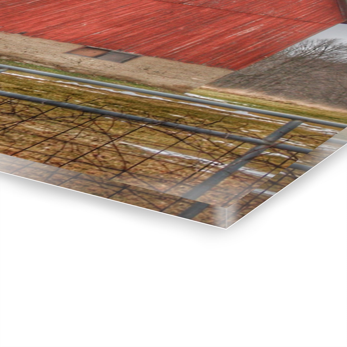 U R There Photography Lonsberry Red Rustic Farmhouse Acrylic Wall Print