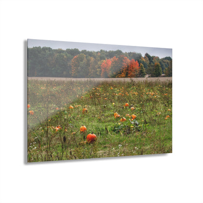 U R There Photography Once Upon a Time in a Pumpkin Patch Rustic Farmhouse Acrylic Wall Print