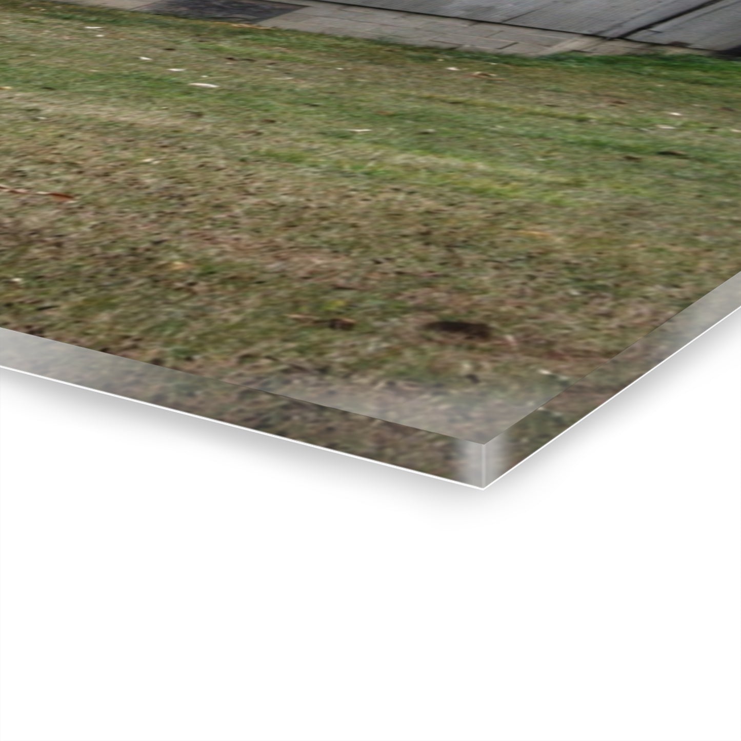 U R There Photography Milliman Road Grey Rustic Farmhouse Acrylic Wall Print