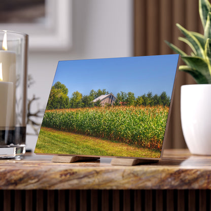 U R There Photography Beyond the Corn on Birch Run Road Rustic Farmhouse Decorative Ceramic Tile