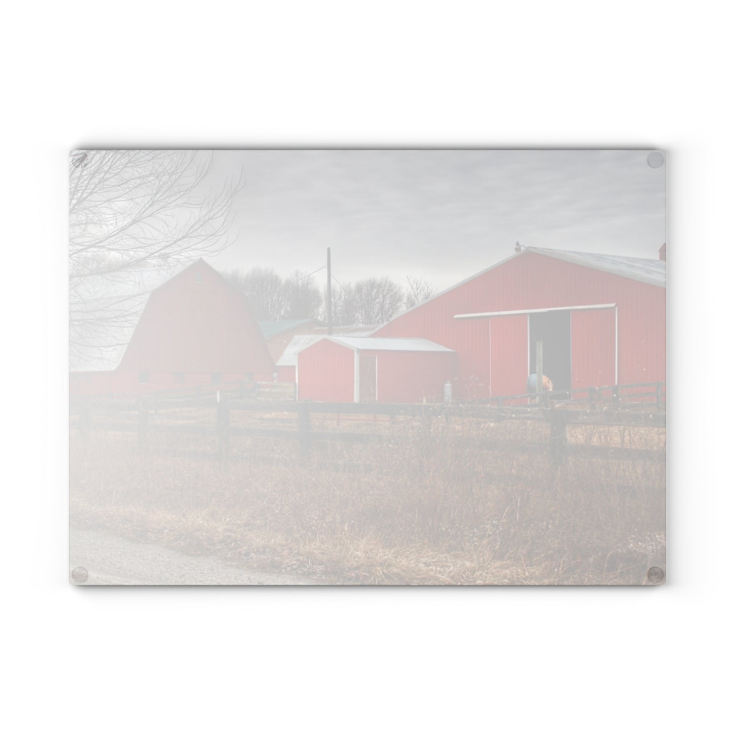 U R There Photography January Reds Rustic Farmhouse Tempered-Glass Cutting Board