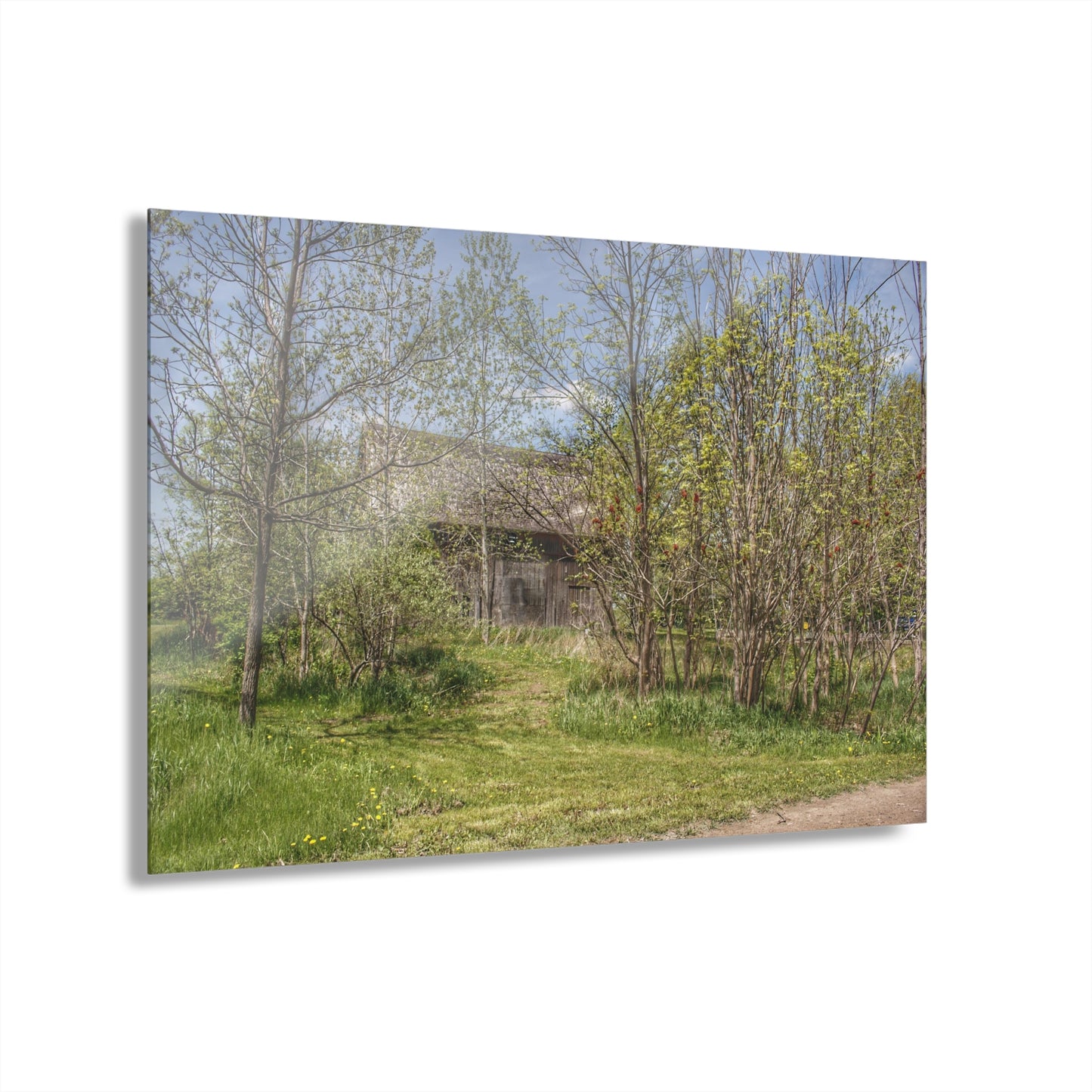 U R There Photography Bishop Road Grey I Rustic Farmhouse Acrylic Wall Print