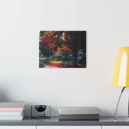 U R There Photography Red Crimson Leaves of Lum Rustic Farmhouse Acrylic Wall Print