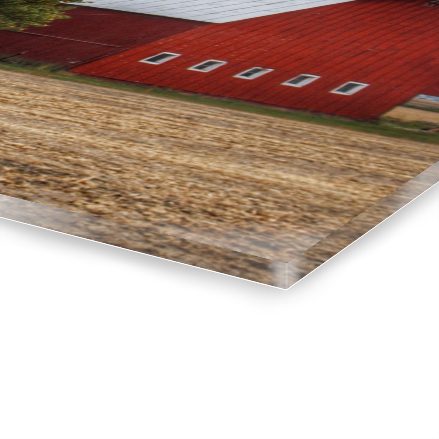 U R There Photography Wadsworth Road Red Rustic Farmhouse Acrylic Wall Print