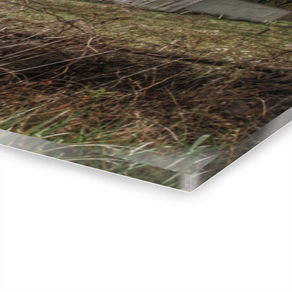 U R There Photography Green Road Grey Rustic Farmhouse Acrylic Wall Print