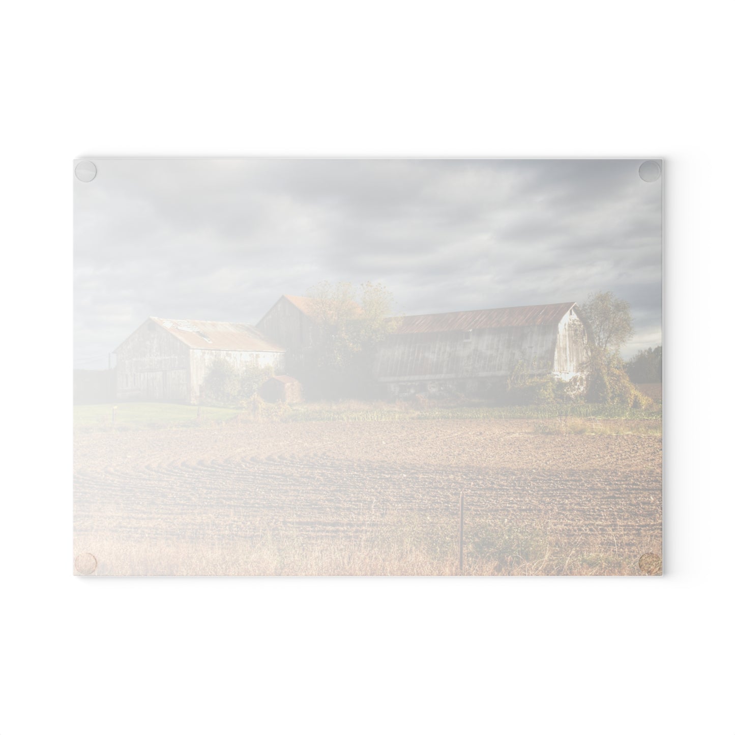 U R There Photography Newark Road Whites Rustic Farmhouse Tempered-Glass Cutting Board