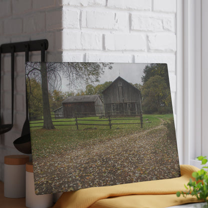 U R There Photography Wilder Road Greys II Rustic Farmhouse Tempered-Glass Cutting Board