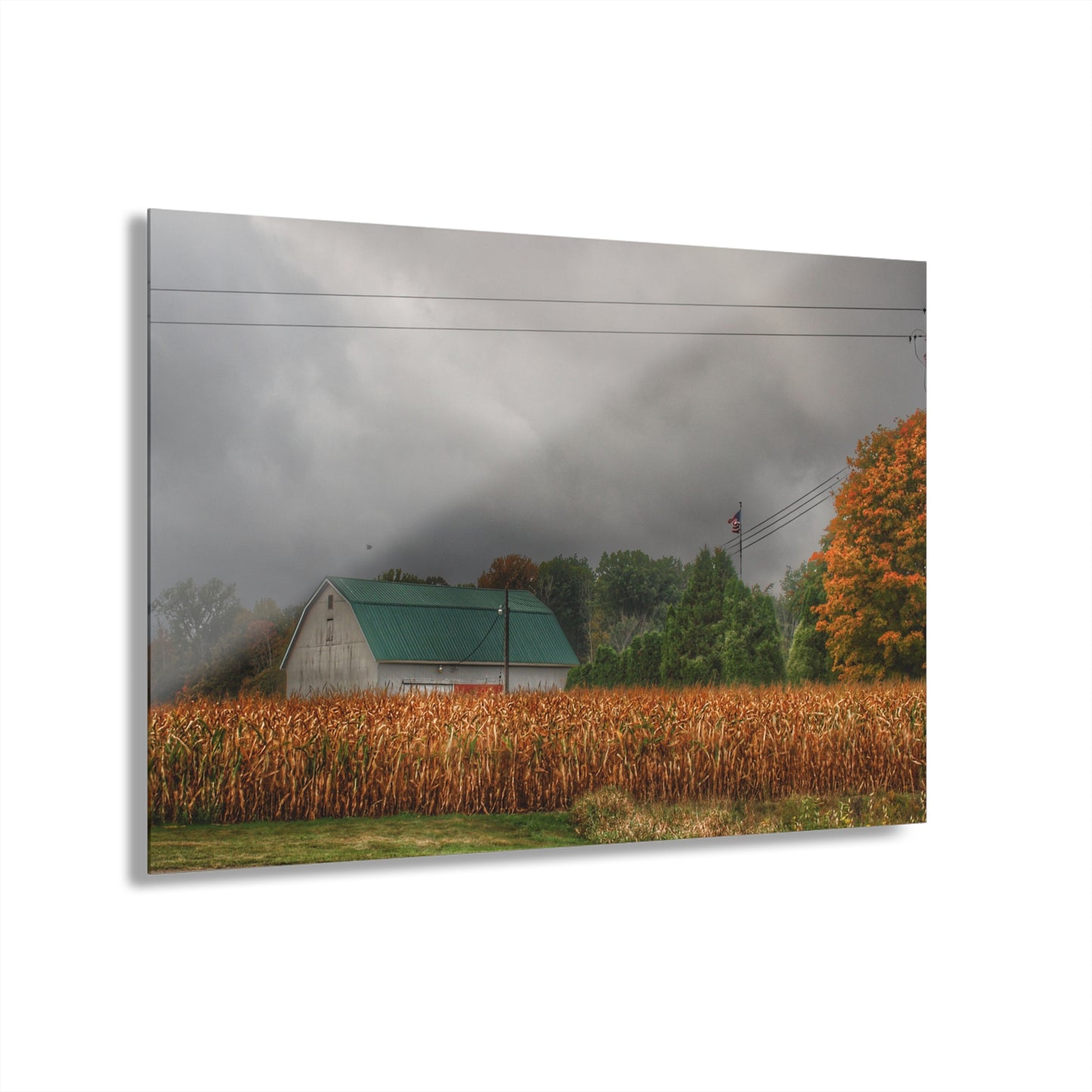 U R There Photography Saginaw Road White Rustic Farmhouse Acrylic Wall Print