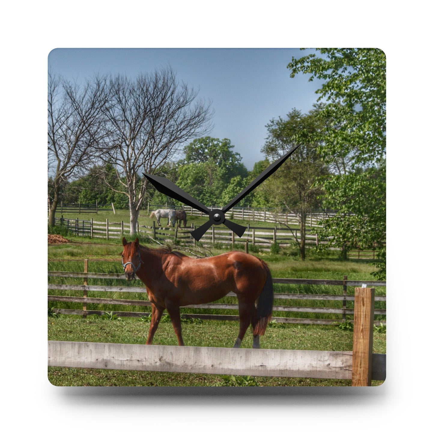 U R There Photography Summer Road Ponies Rustic Farmhouse Acrylic Analog Wall Clock