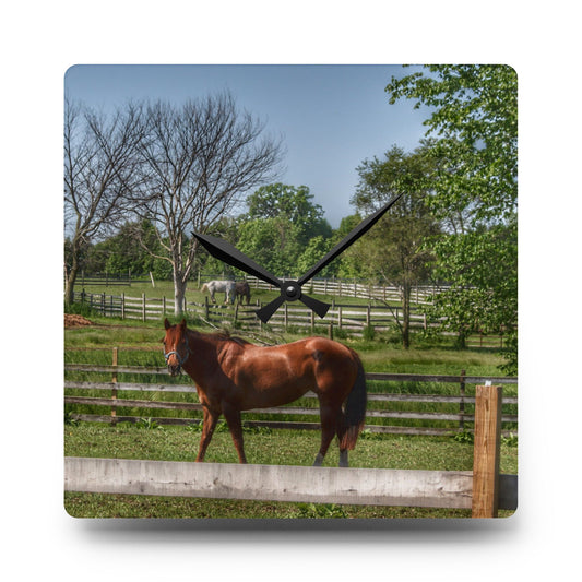 Summers Road Ponies Rustic Farmhouse Acrylic Analog Wall Clock 10.75'' × 10.75'' (Square)