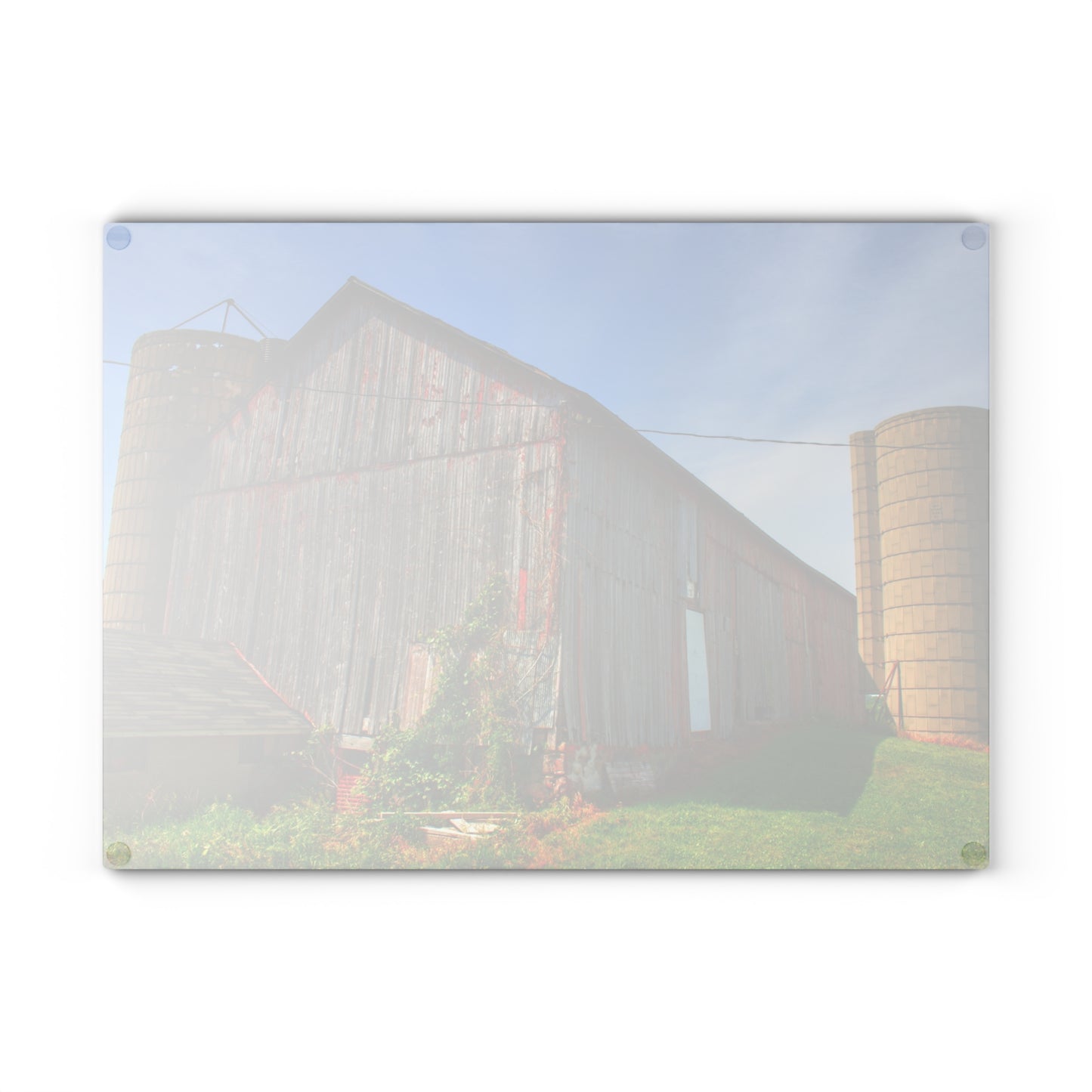 U R There Photography Marlette Red II Rustic Farmhouse Tempered-Glass Cutting Board