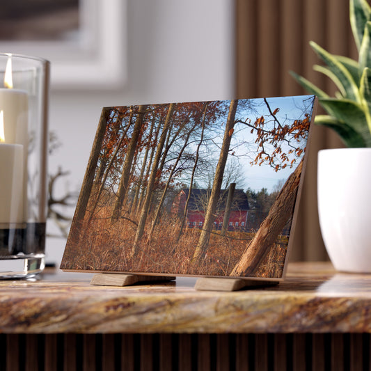 U R There Photography Blood Road Red II Rustic Farmhouse Decorative Ceramic Tile