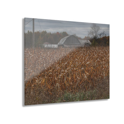 U R There Photography North State Road Grey Rustic Farmhouse Acrylic Wall Print