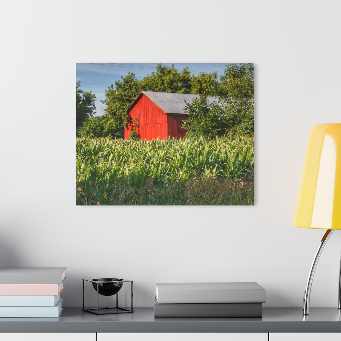 U R There Photography Willard Road Red III Rustic Farmhouse Acrylic Wall Print