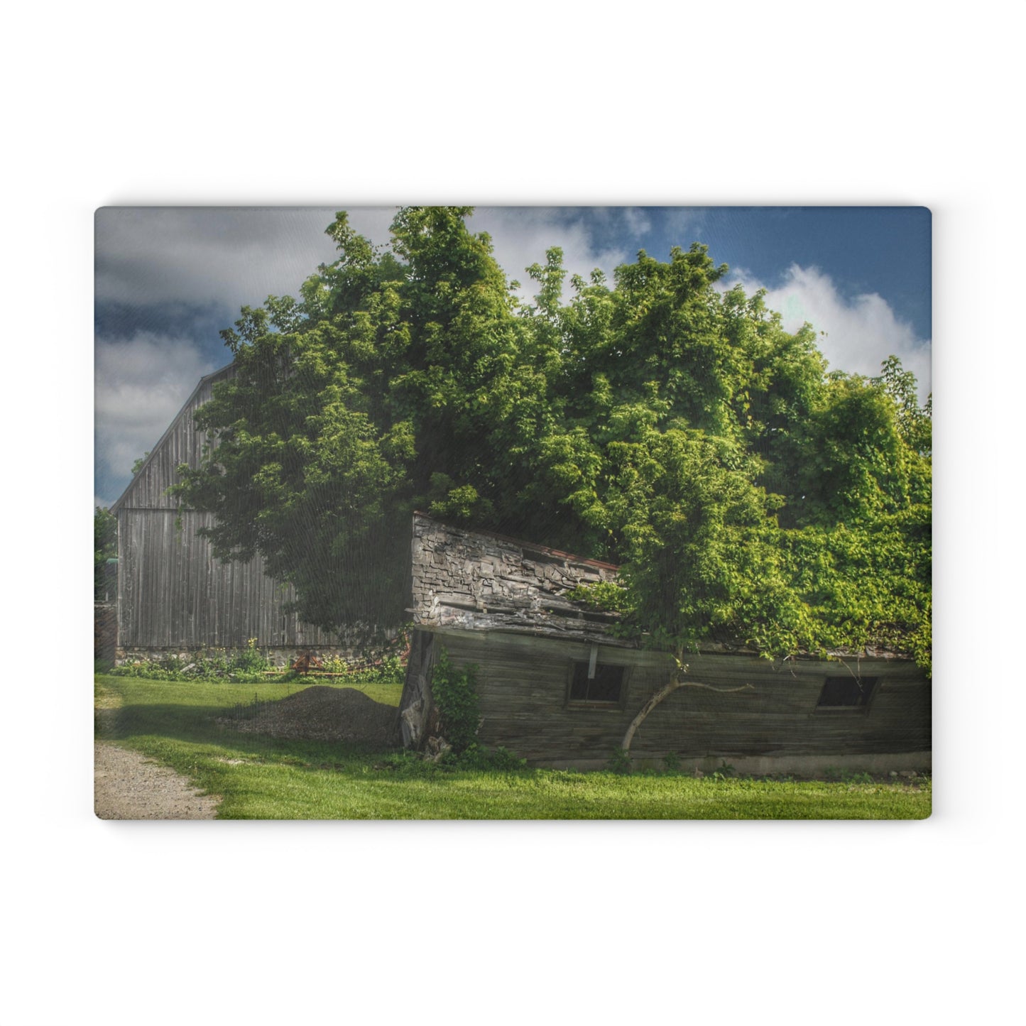 U R There Photography Brown City Road Barn and Buddy I Rustic Farmhouse Tempered-Glass Cutting Board