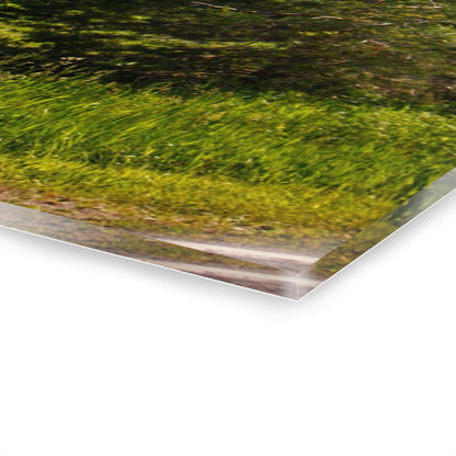 U R There Photography Hegal Road Red Rustic Farmhouse Acrylic Wall Print