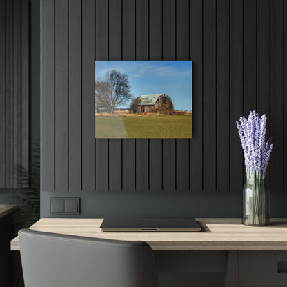 U R There Photography Bay City - Forestville Forgotten Grey Rustic Farmhouse Acrylic Wall Print