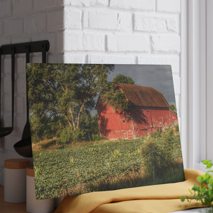 U R There Photography Genesee Road Red II Rustic Farmhouse Tempered-Glass Cutting Board