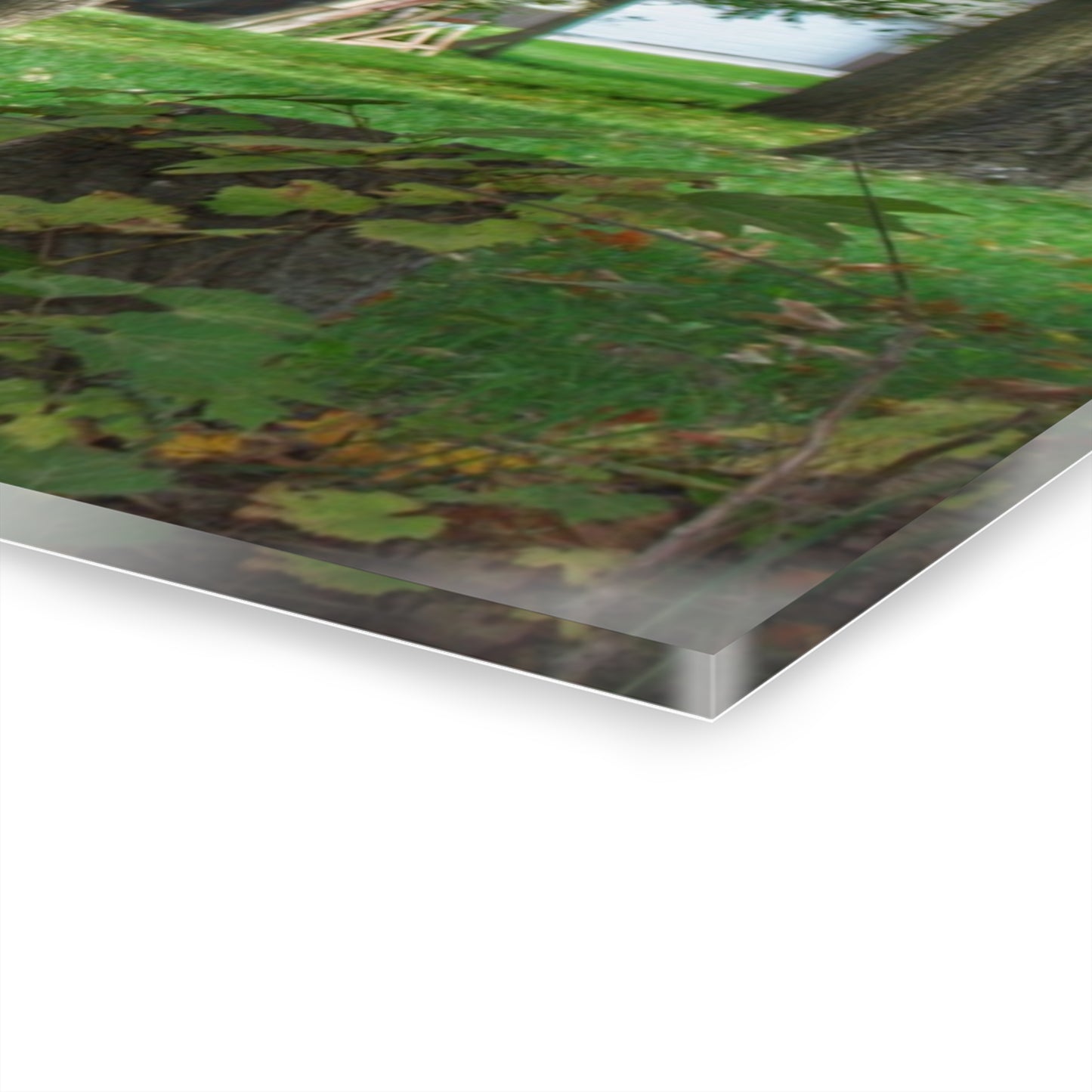 U R There Photography LeValley Falling Red Rustic Farmhouse Acrylic Wall Print