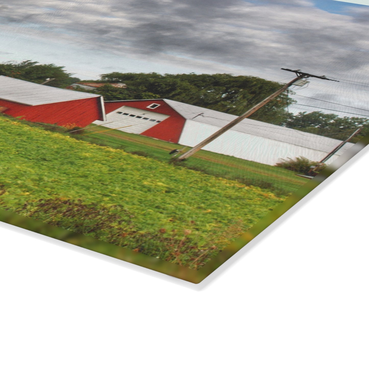 U R There Photography Kingston Road Trio III Rustic Farmhouse Tempered-Glass Cutting Board