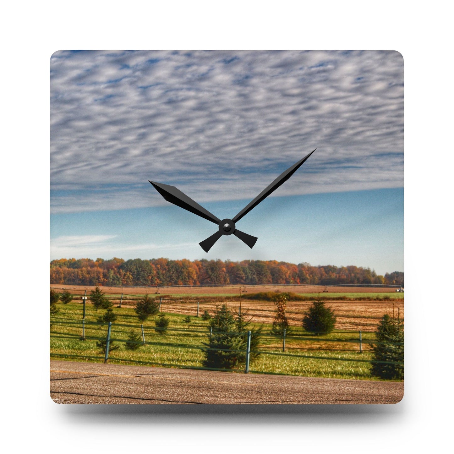 U R There Photography Fences, Firs and Fall Rustic Farmhouse Acrylic Analog Wall Clock