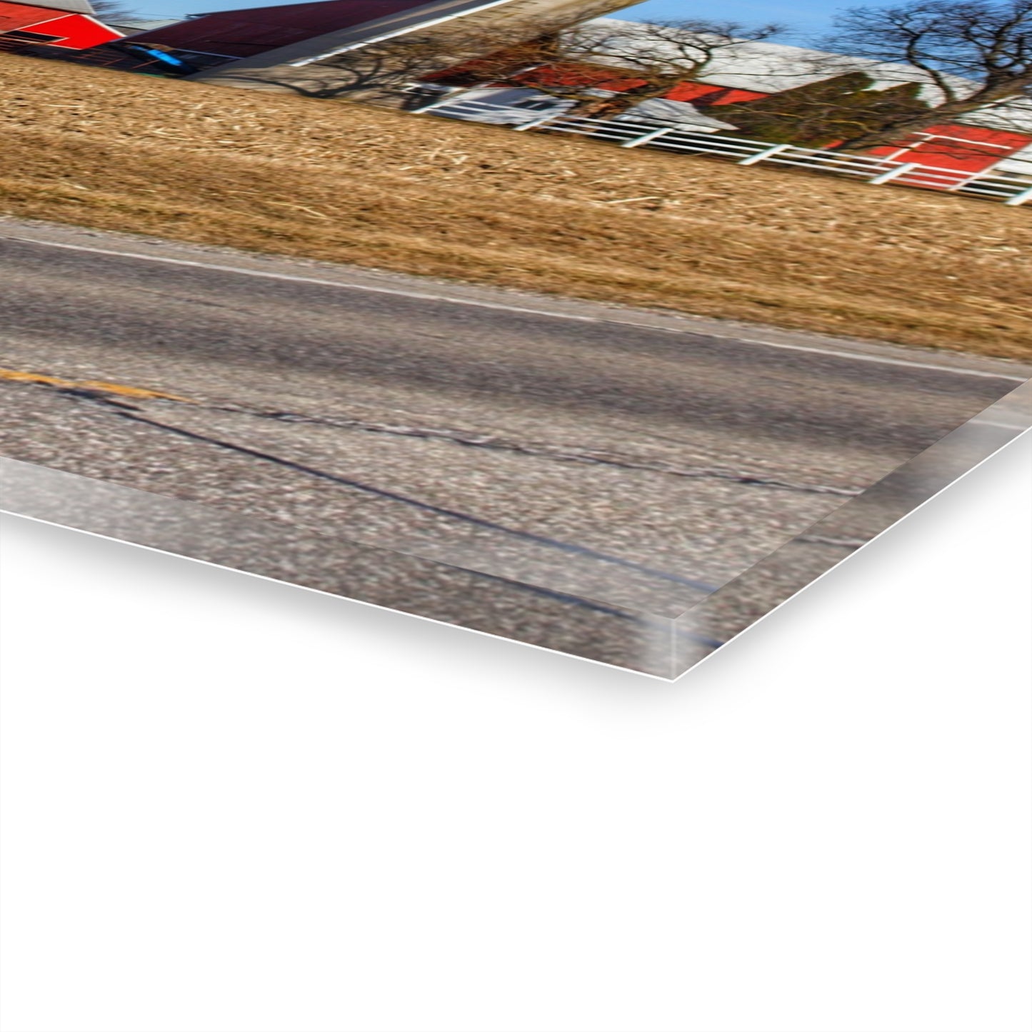 U R There Photography Marlette Reds Rustic Farmhouse Acrylic Wall Print