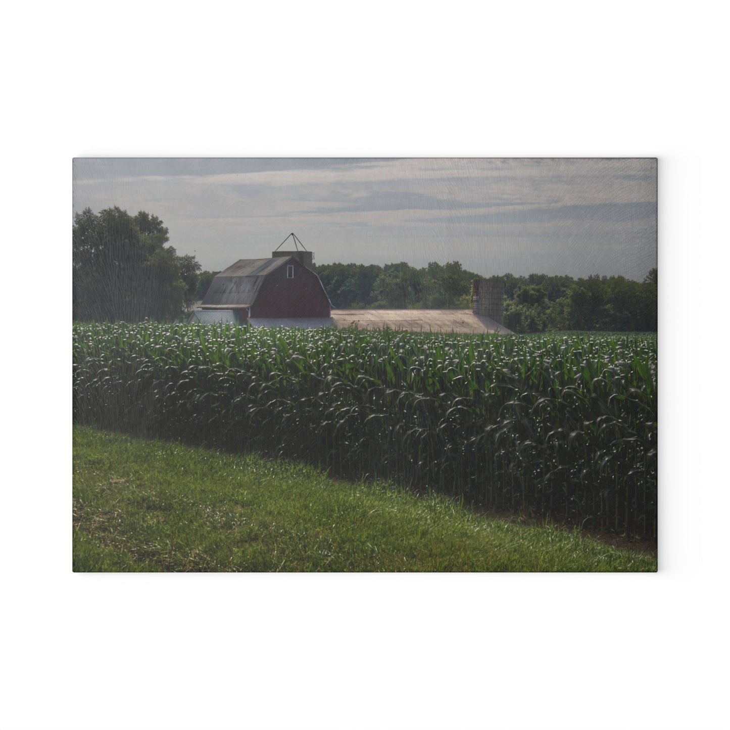 U R There Photography Above the Corn on Piersonville Road II Rustic Farmhouse Tempered-Glass Cutting Board