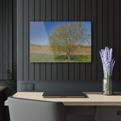 U R There Photography Spring Farm Willow Tree Rustic Farmhouse Acrylic Wall Print