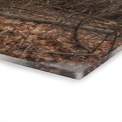 U R There Photography Mayville Hidden Barn II Rustic Farmhouse Acrylic Wall Print