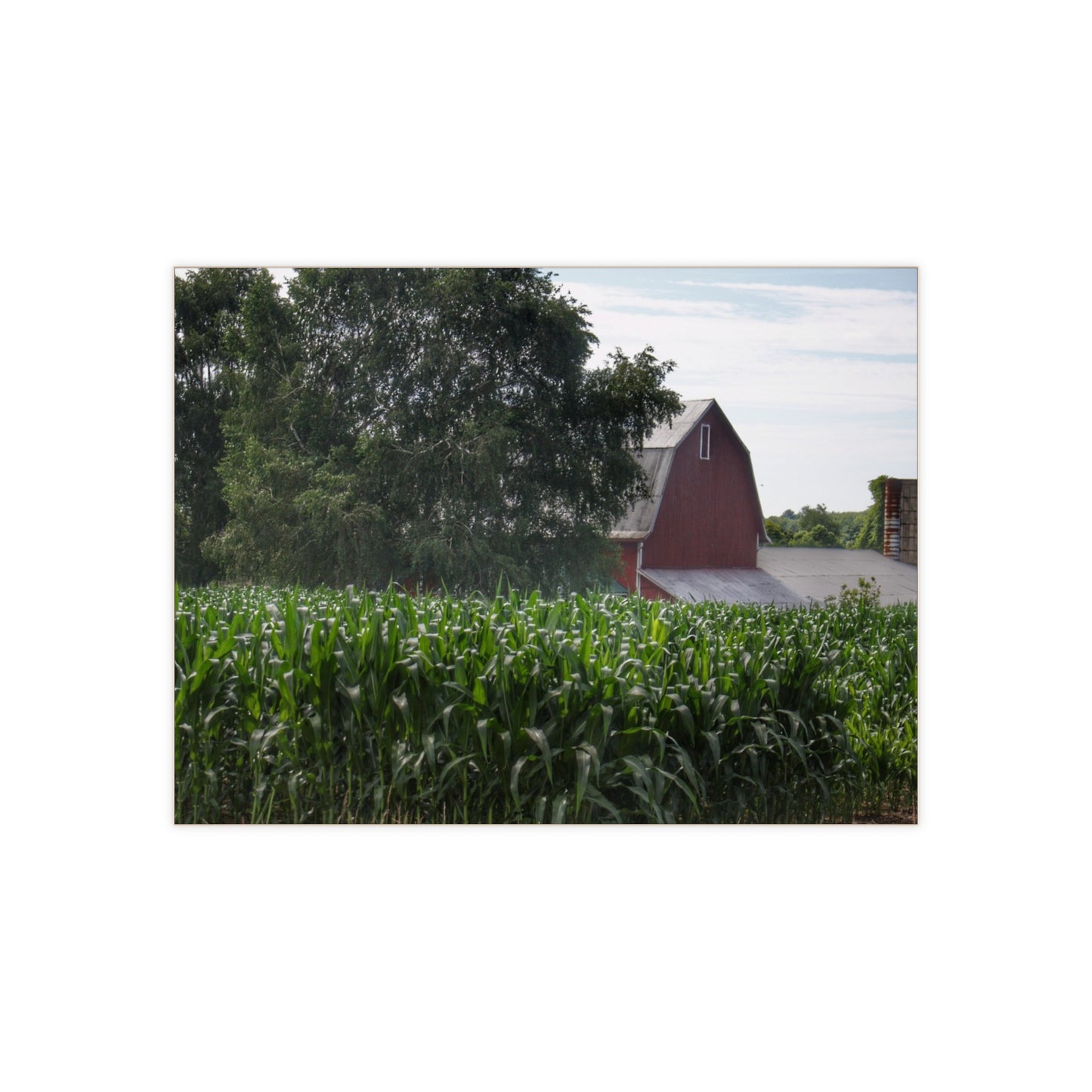 U R There Photography Above the Corn on Piersonville Road III Rustic Farmhouse Decorative Ceramic Tile