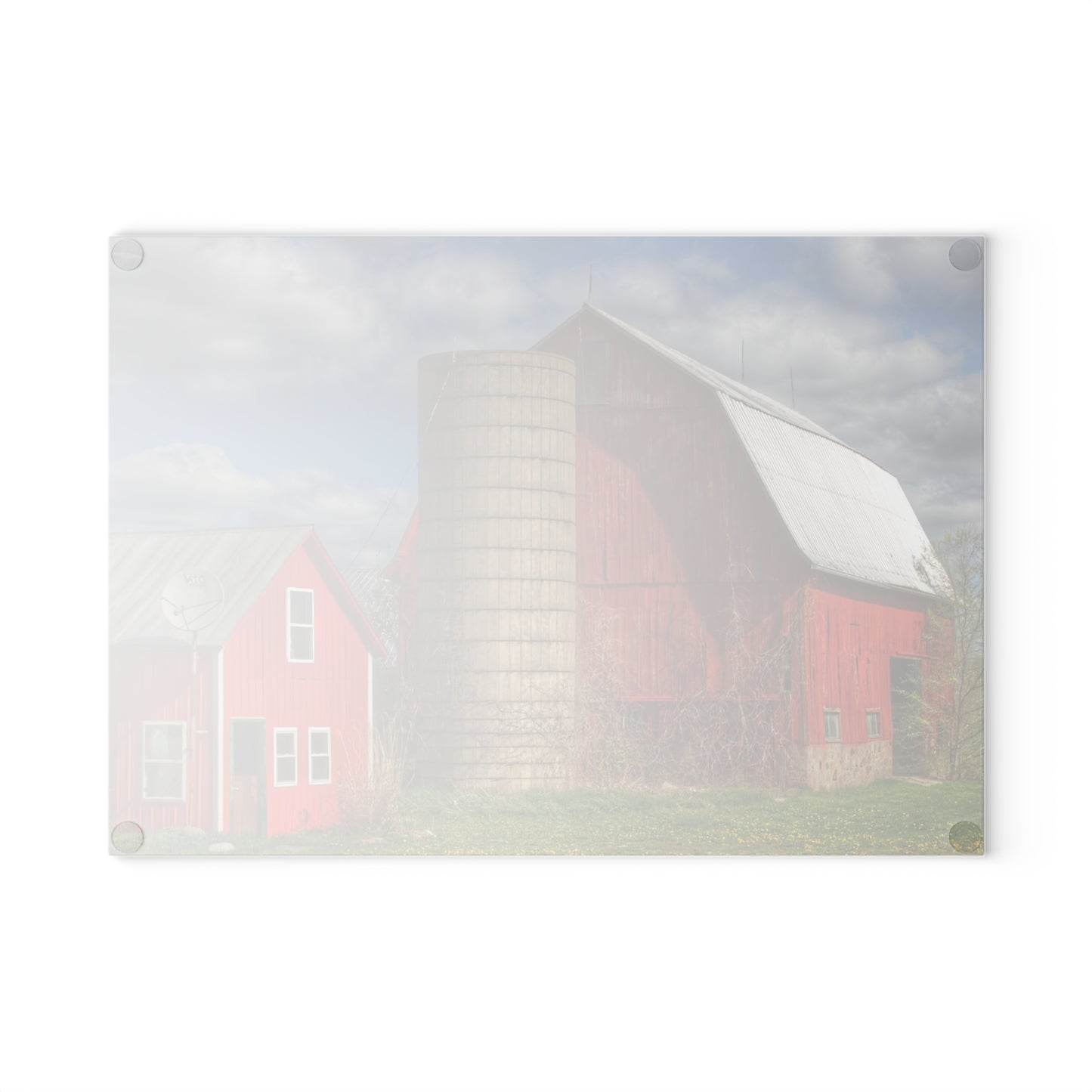 U R There Photography McDowell Road Reds I Rustic Farmhouse Tempered-Glass Cutting Board