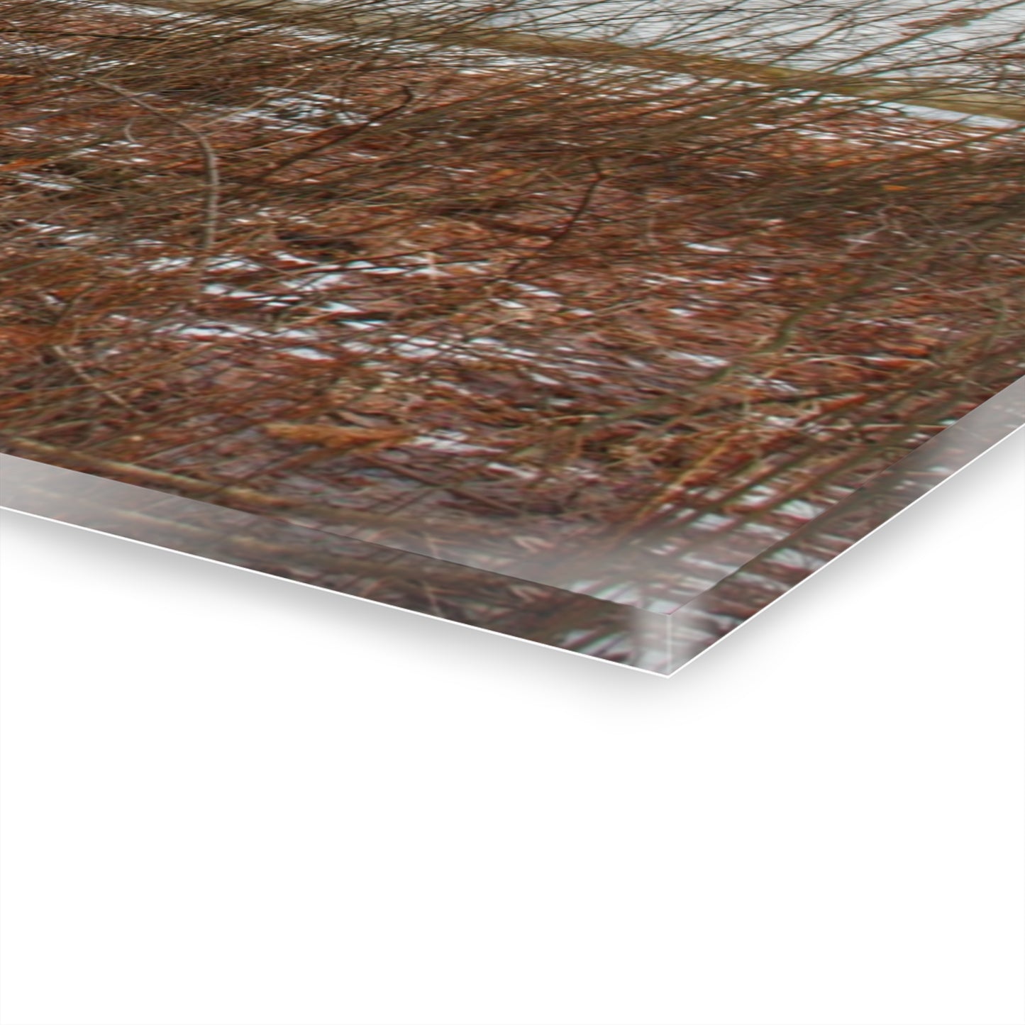 U R There Photography Norway Lake Hidden White Rustic Farmhouse Acrylic Wall Print