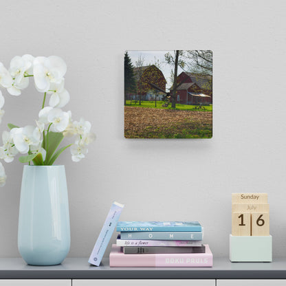 U R There Photography Bishop Road Reds III Rustic Farmhouse Acrylic Analog Wall Clock